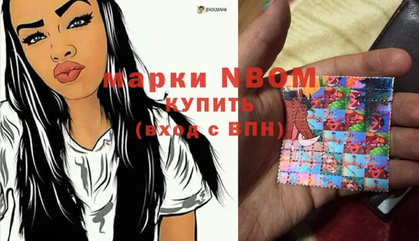 стафф Алексин