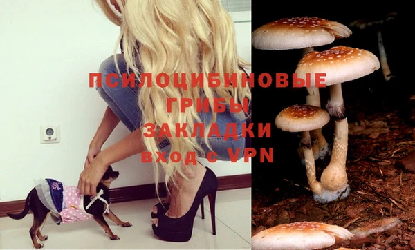 спиды Алзамай