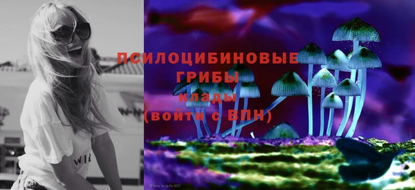 спиды Алзамай