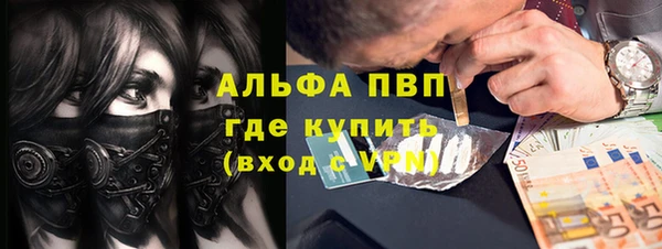 стафф Алексин